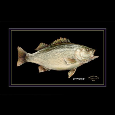 Australian Bass Trophy Series