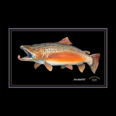 Brown Trout Trophy Series