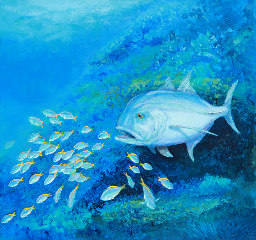 Giant Trevally Feeding off the Reef