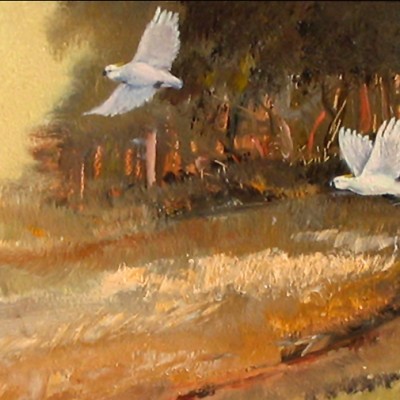 Into the Field