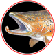 Brown Trout Trophy Series