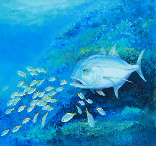 Giant Trevally Feeding off the Reef