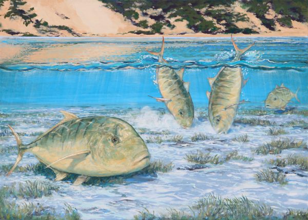 Golden Trevally Tailing